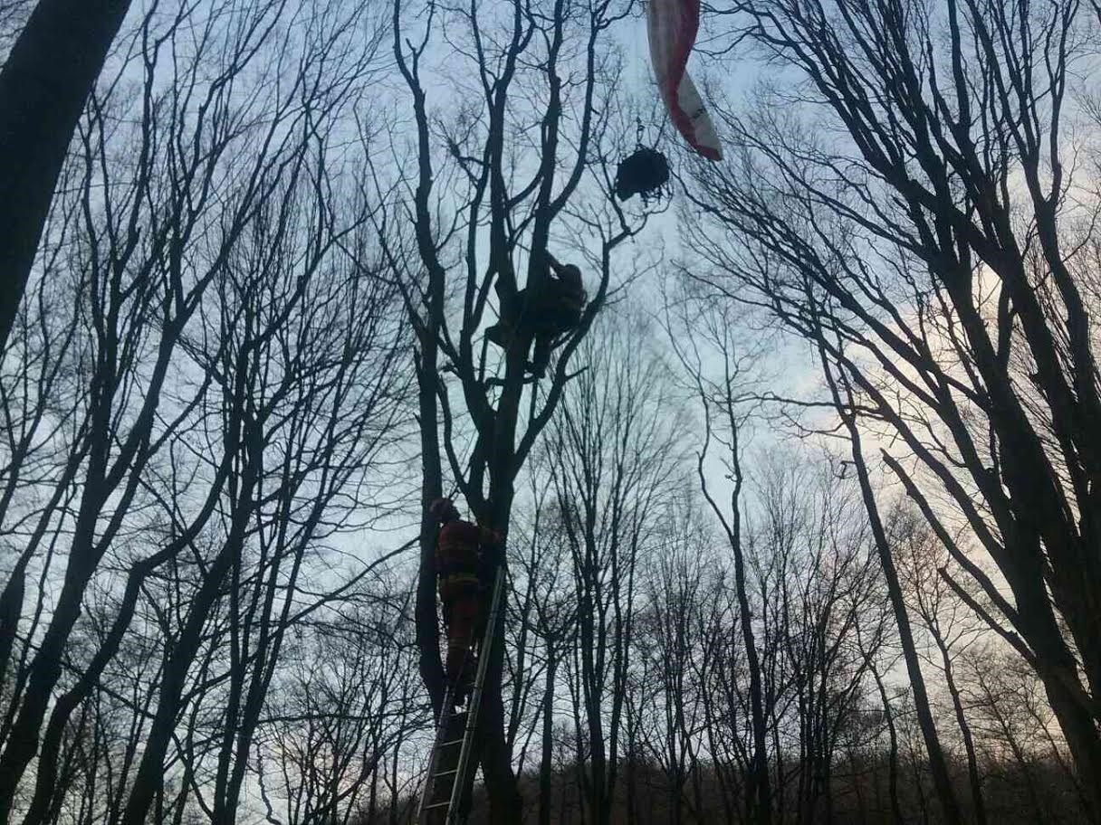 1 - Hasiči zachránili paraglajdistu uviaznutého na vysokom strome