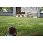 fotografia