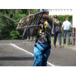 fotografia