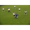 FUTBAL SVK : CZ