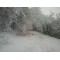 fotografia