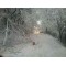 fotografia