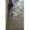 fotografia