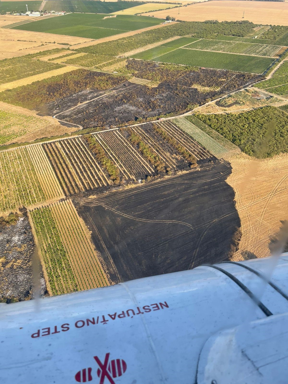 Požiar role, porastu a vinohradov v Modre