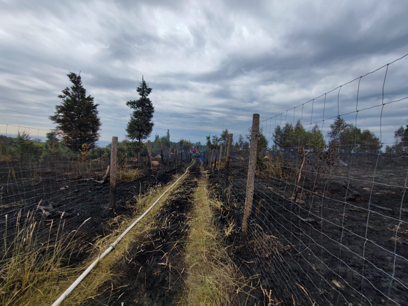 Požiar lesa v katastri obce Svätý Jur