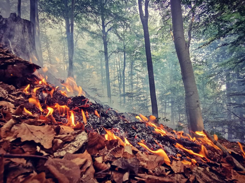 Vypaľovanie tráv a porastov je zakázané!