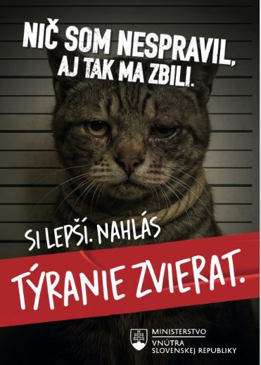 Týranie zvierat