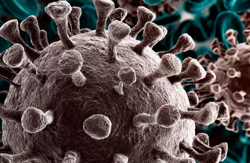 covid-virus-ilustr-marec2021