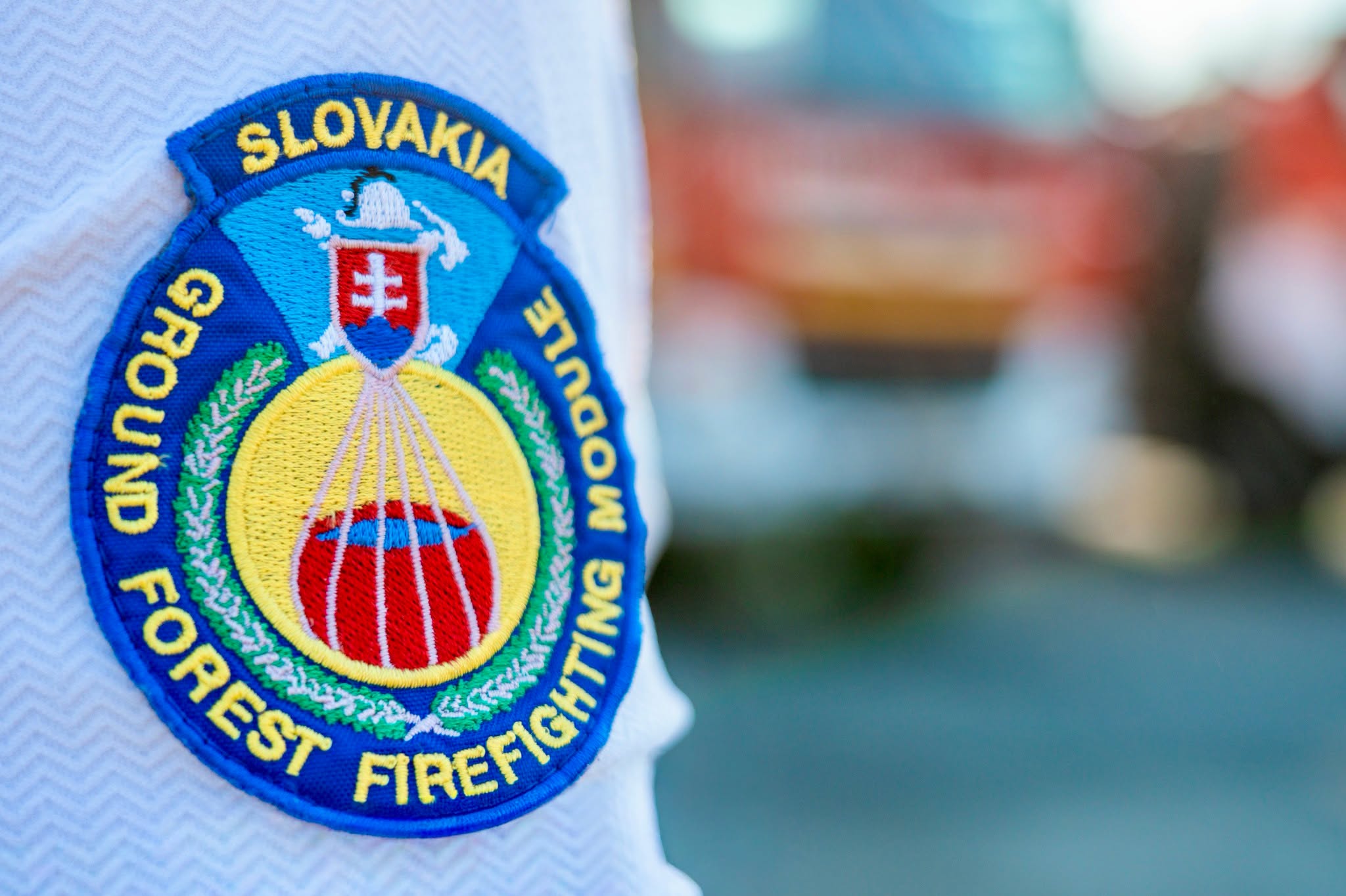gfff-logo-rukav-ilustr