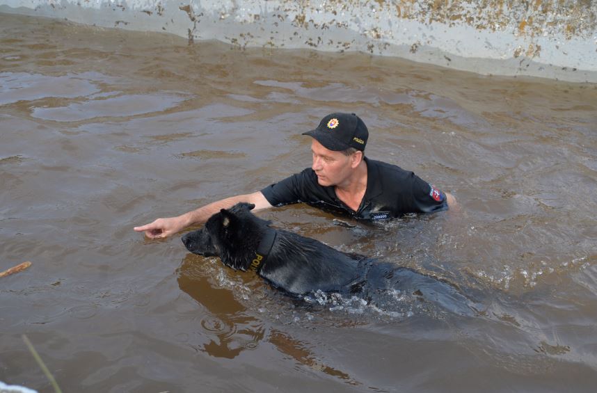 Kynologický výcvik šteniatka pre policajnú službu