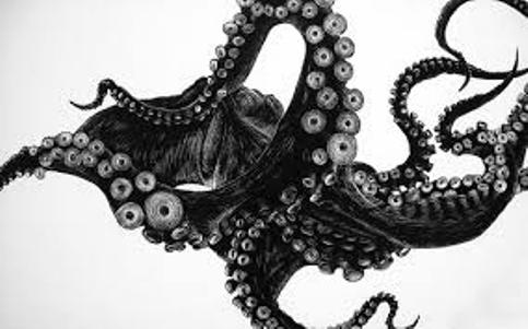 chobotnica-ilustr