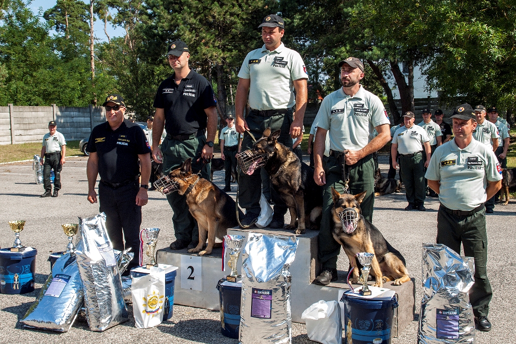 Víťazi a ich zverenci: slovenské policajné psy sú nielen šikovné, ale aj krásne