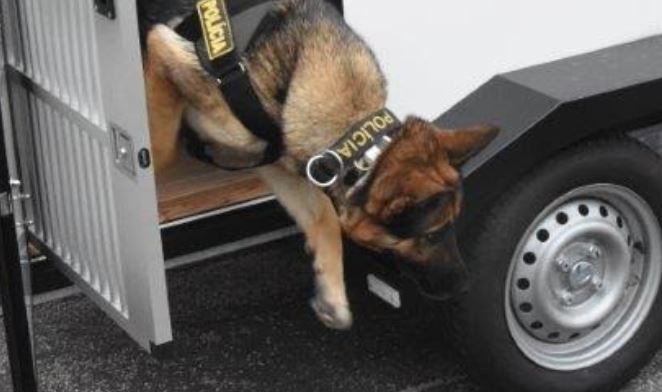 policajný pes vystupuje z vozidla