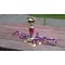 fotografia