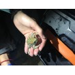 fotografia