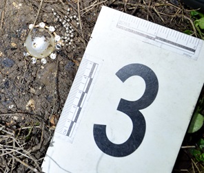 náušnica z bieleho kovu s kamienkami náušnica z bieleho kovu s kamienkami