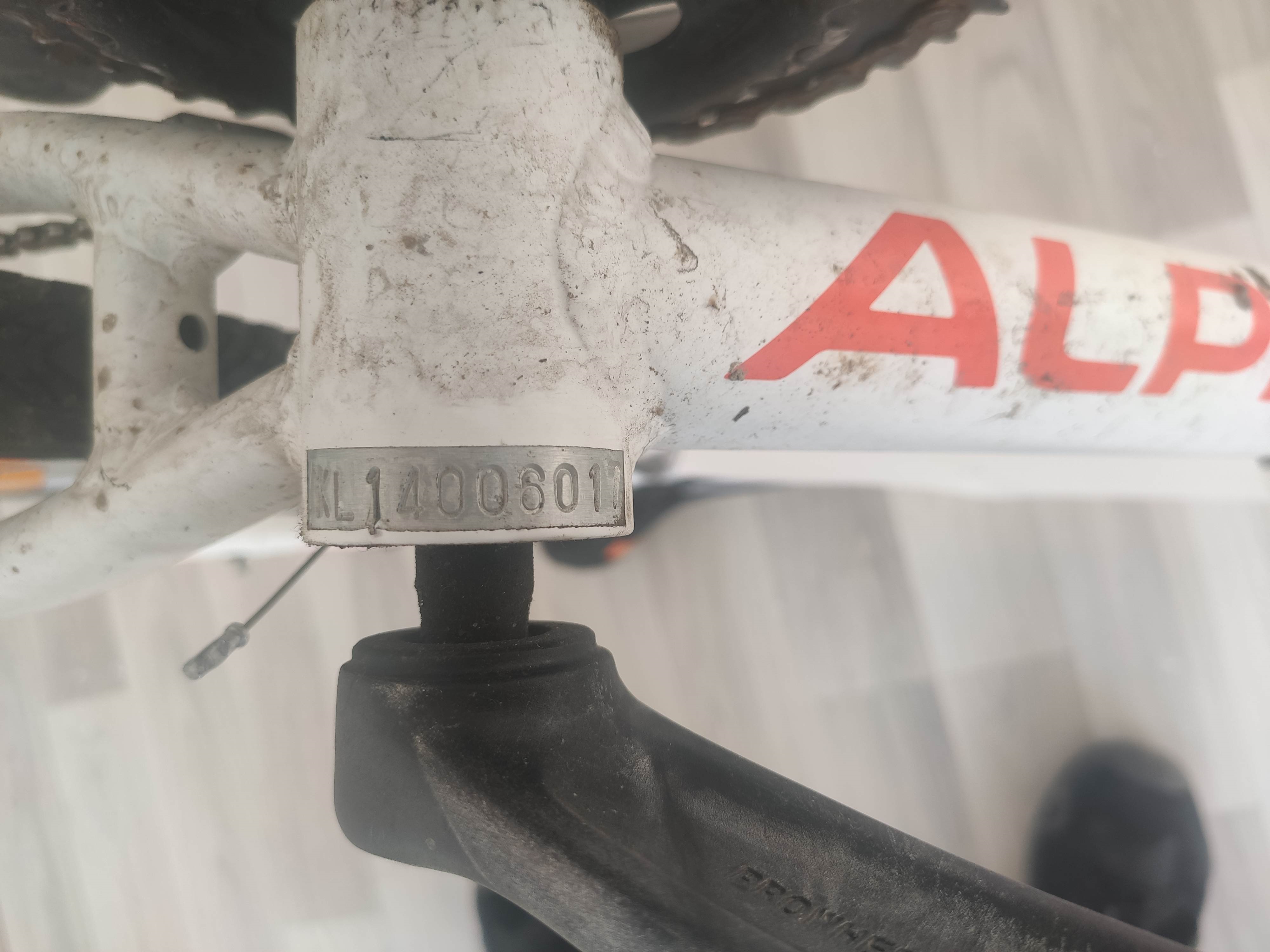 bicykel ALPINE ECO 10